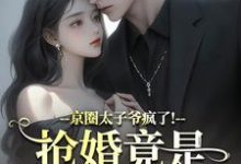 京圈太子爷疯了！抢婚竟是蓄谋已久推荐完结小说，京圈太子爷疯了！抢婚竟是蓄谋已久陆妄辞虞晚颜免费小说全本-维C文学