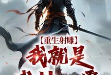 (全文)重生射雕：我就是武林一霸段星炎黄蓉全本免费在线阅读-维C文学