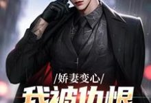 娇妻变心，我被仇恨占据了全身路无铭墨凉馨完结小说推荐，娇妻变心，我被仇恨占据了全身全章小说阅读-维C文学