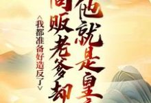 我都准备好造反了，商贩老爹却说他就是皇帝？嬴政赵牧免费小说我都准备好造反了，商贩老爹却说他就是皇帝？推荐完结小说-维C文学
