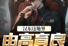 汉东这地界，由高育良说了算（祁同伟高育良）全本书籍阅读汉东这地界，由高育良说了算完整版小说-维C文学