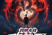 我刚无敌，你就要跟我退婚？（苏阳）全本书籍阅读我刚无敌，你就要跟我退婚？完整版小说-维C文学