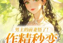男主的前妻悟了!作精秒变粘人精最新完结小说男主的前妻悟了!作精秒变粘人精许岁宁霍青山免费小说-维C文学