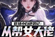 官场小白逆袭记:从帮女大佬开始唐诚李文静试读更新章节官场小白逆袭记:从帮女大佬开始唐诚李文静免费小说-维C文学