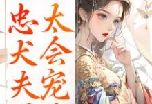 娇妾：忠犬夫君，太会宠！热门小说排行榜娇妾：忠犬夫君，太会宠！慕南宸姜铭烟免费小说全本-维C文学