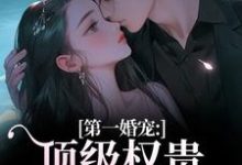 (全文)第一婚宠：顶级权贵追妻火葬场叶惊兰薄戎淮完结小说推荐第一婚宠：顶级权贵追妻火葬场试读更新章节-维C文学
