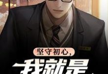 (全文)坚守初心,我就是基层清官丁俊丰贺征全本免费在线阅读-维C文学