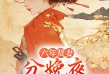 六年贤妻，分娩夜心死换和离最新章节阅读六年贤妻，分娩夜心死换和离(姜玉筝沈宴沉)试读更新章节-维C文学