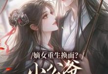 (全文)嫡女重生换面?小公爷红妆谋娶她裴溟辰云霁最新完结小说嫡女重生换面?小公爷红妆谋娶她免费小说全本-维C文学