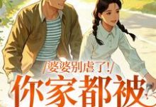 婆婆别虐了！你家都被偷光了推荐完结小说婆婆别虐了！你家都被偷光了(苏圆圆陆正安)免费小说全本-维C文学