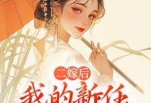 二嫁后，我的新任夫君有秘密热门小说排行榜二嫁后，我的新任夫君有秘密林月鸣江升免费小说全本-维C文学