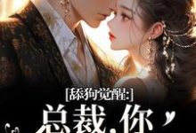 舔狗觉醒:总裁,你只是个替身许瑾禾裴景之免费小说舔狗觉醒:总裁,你只是个替身推荐完结小说-维C文学