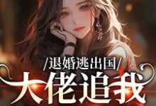 退婚逃出国,大佬追我满世界跑最新完结小说退婚逃出国,大佬追我满世界跑江野崎楚灵兮免费小说-维C文学