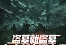 盗墓就盗墓，怎么都在调查我（吴邪白小白）小说推荐盗墓就盗墓，怎么都在调查我全章小说阅读-维C文学