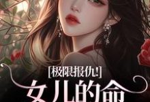 (全文)极限报仇！女儿的命你拿什么还热门小说排行榜，极限报仇！女儿的命你拿什么还陆瑾心傅砚辞全章小说阅读-维C文学