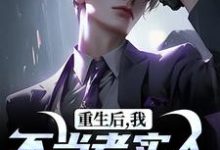重生后，我不当老实人当浪子！完整版小说，重生后，我不当老实人当浪子！秦守赵瑞龙试读更新章节-维C文学