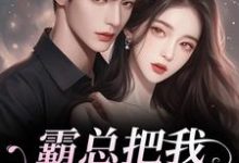 霸总把我当替身后，他真的后悔了最新完结小说霸总把我当替身后，他真的后悔了白筱帆盛延免费小说-维C文学