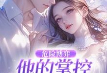 (全文)危险博弈:他的掌控与她的反杀叶时欢全本免费在线阅读-维C文学