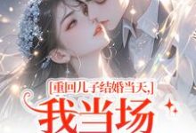 重回儿子结婚当天刘琴刘勇完结小说推荐,重回儿子结婚当天全章小说阅读-维C文学
