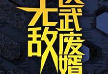 无敌医武废婿推荐完结小说无敌医武废婿(秦铭)免费小说全本-维C文学
