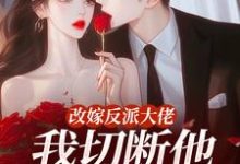 改嫁反派大佬，我切断他黑化根源！江知微萧著免费小说改嫁反派大佬，我切断他黑化根源！推荐完结小说-维C文学