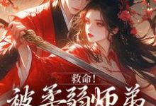 救命！被柔弱师弟撩到破防了（南九辞白江敛）全章小说阅读-维C文学
