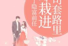 (全文)甩了隐富前任,却栽进上司套路里(林昭陆景淮)全本书籍阅读甩了隐富前任,却栽进上司套路里免费小说全本-维C文学