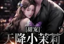 甜宠：天降小茉莉住进了我家（沈津南林听）小说推荐甜宠：天降小茉莉住进了我家全章小说阅读-维C文学