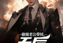 偷窥老公带娃，天后坐不住了最新完结小说偷窥老公带娃，天后坐不住了陆辰免费小说-维C文学
