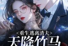(全文)重生逃离渣夫，天降竹马太会钓（姜矜贺祈年）试读更新章节重生逃离渣夫，天降竹马太会钓免费小说-维C文学