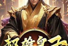 (全文)超雄皇子热门小说排行榜，超雄皇子萧凡全章小说阅读-维C文学