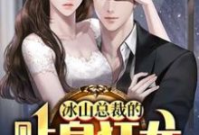 (全文)冰山总裁的贴身狂龙(沈念)全本免费在线阅读-维C文学
