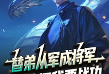 替弟从军成将军,归来问我要战功完整版小说,替弟从军成将军,归来问我要战功叶临渊全章小说阅读-维C文学