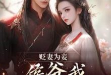 贬妻为妾，侯爷我不伺候啦慎如余启试读更新章节贬妻为妾，侯爷我不伺候啦慎如余启免费小说-维C文学