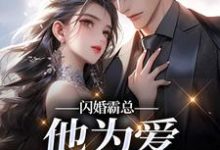 闪婚霸总，他为爱抛弃一切苏绿柔厉墨焱完结小说推荐，闪婚霸总，他为爱抛弃一切全章小说阅读-维C文学