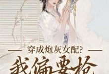 穿成炮灰女配？我偏要抢女主资源顾柠芸慕辰泽完结小说推荐，穿成炮灰女配？我偏要抢女主资源全章小说阅读-维C文学