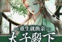 重生就换亲,太子殿下被钓翘嘴了完整版小说,重生就换亲,太子殿下被钓翘嘴了宋婉宁萧承瑾全章小说阅读-维C文学