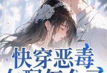 江辞晚傅云承快穿恶毒女配怎么了，男主他超爱全本免费在线阅读-维C文学