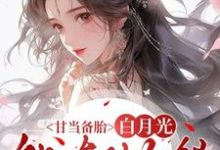 甘当备胎,白月光能有什么错沈青榕免费小说甘当备胎,白月光能有什么错推荐完结小说-维C文学