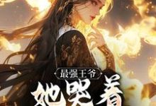 (全文)最强王爷：她哭着跟我求和（杨凡）免费小说最强王爷：她哭着跟我求和试读更新章节-维C文学