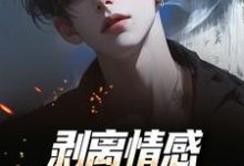 (全文)剥离情感,你我用不相爱陆琛最新完结小说剥离情感,你我用不相爱免费阅读-维C文学