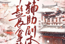 (全文)丫鬟拿稳辅助剧本傅初霁完结小说推荐丫鬟拿稳辅助剧本试读更新章节-维C文学