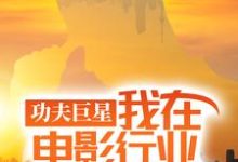 (全文)功夫巨星:我在电影行业做武替热门小说排行榜,功夫巨星:我在电影行业做武替唐龙全章小说阅读-维C文学