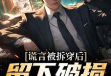 谎言被拆穿后,留下破损的婚姻完整版小说谎言被拆穿后,留下破损的婚姻(张齐)全章小说阅读-维C文学