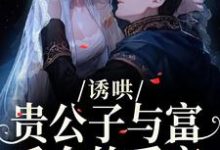 诱哄：贵公子与富千金的爱恋（沈漾）全本书籍阅读诱哄：贵公子与富千金的爱恋完整版小说-维C文学