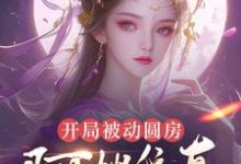 许修年开局被动圆房，阿嫂我真不是傻子全本免费在线阅读-维C文学