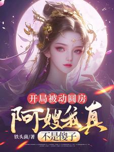 开局被动圆房，阿嫂我真不是傻子推荐完结小说，开局被动圆房，阿嫂我真不是傻子许修年免费小说全本