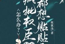 怎么办？疯批权臣每天都想贴贴我顾轻舟完结小说推荐，怎么办？疯批权臣每天都想贴贴我全章小说阅读-维C文学
