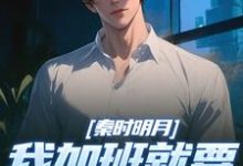 (全文)秦时明月：我加班就要被扣经验值（赵子珏）全本书籍阅读秦时明月：我加班就要被扣经验值免费小说全本-维C文学