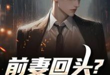 (全文)前妻回头？可惜，迟了！(秦风)全本免费在线阅读-维C文学